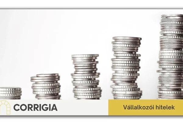 Üzleti Hitelkalauz + 2. rész: A Széchenyi Kártya Program lehetőségei